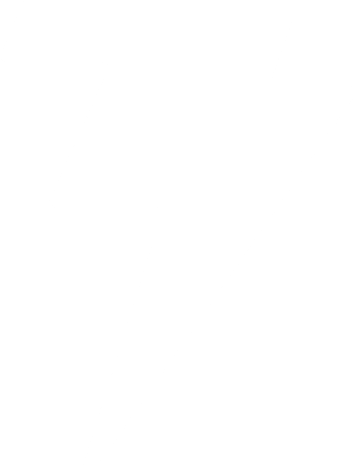 Lightning bolt logo