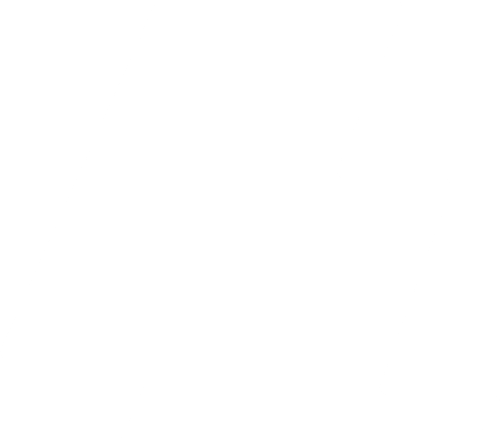Lightning bolt logo